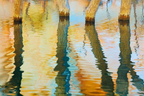 Lake Powell Reflections III