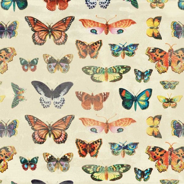 Butterfly 2