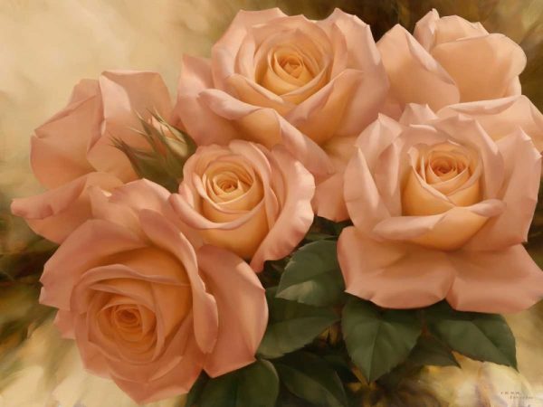Peach Rose Splendor I