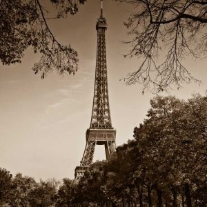 An Afternoon Stroll - Paris II