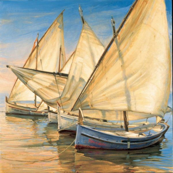 Windward Latin Sails