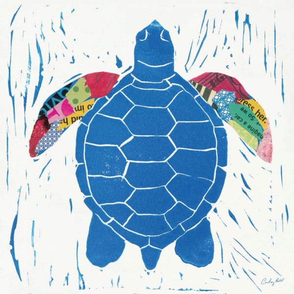 Sea Creature Turtle Color
