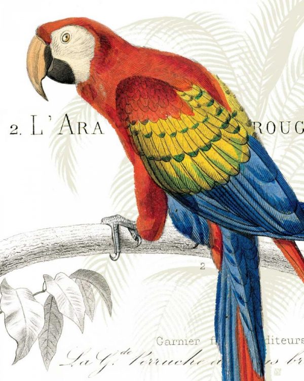 Parrot Botanique II