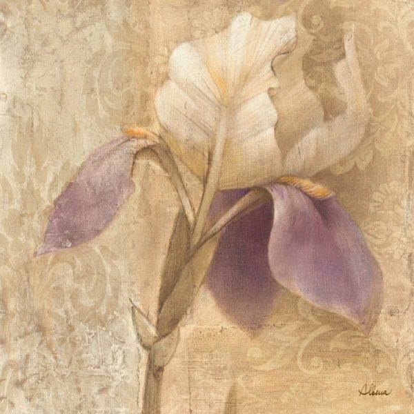 Brocade Iris - Wag