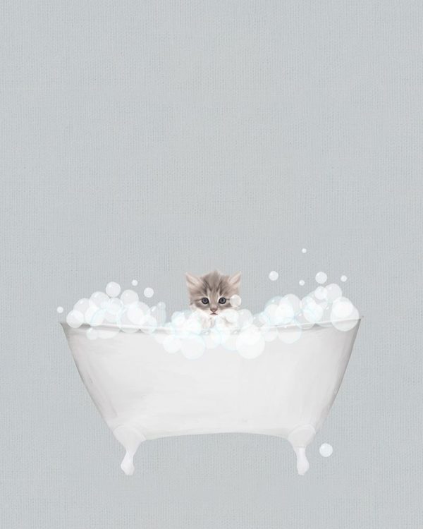 Kitten Blue Bath