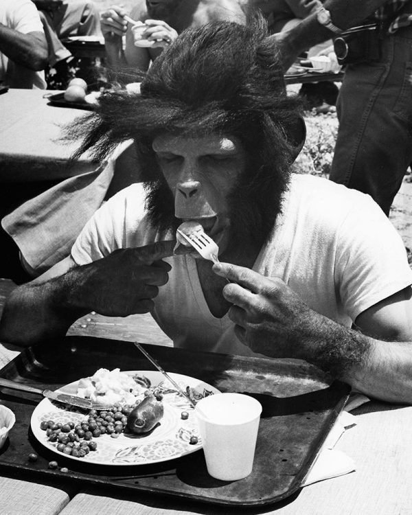 Even Apes Need a Break