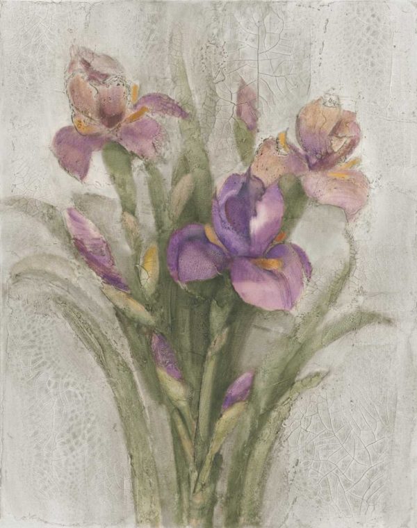 Purple Iris Garden on Grey
