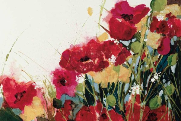 Poppies and Flowers on White