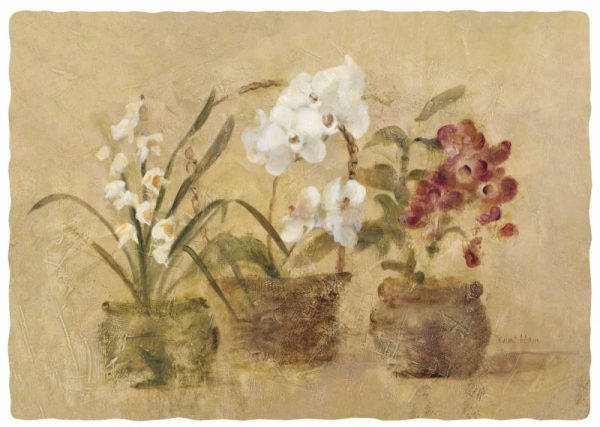 Collection of Orchids-48x35.5