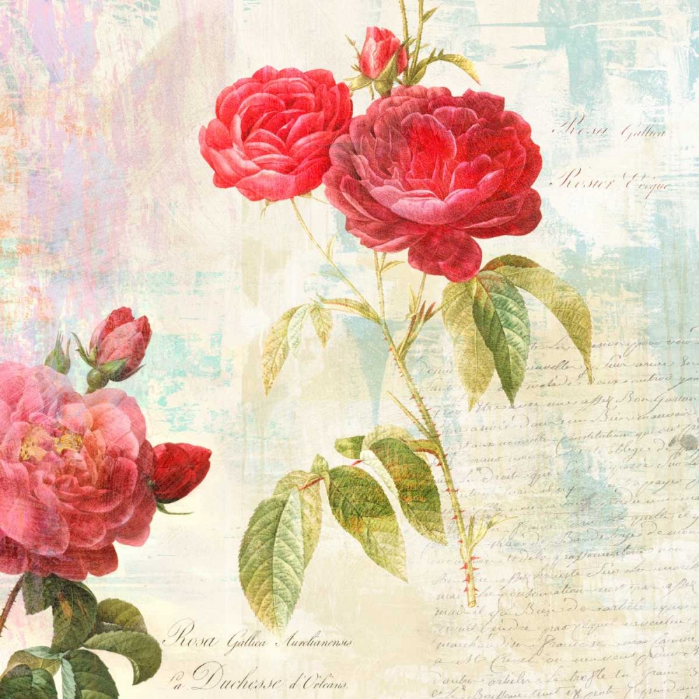 Redoutes Roses 2.0 - IIÂ - Art and Frame - Adelaide