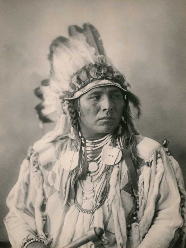 Spotted Jack Rabbit- Crow- 1898