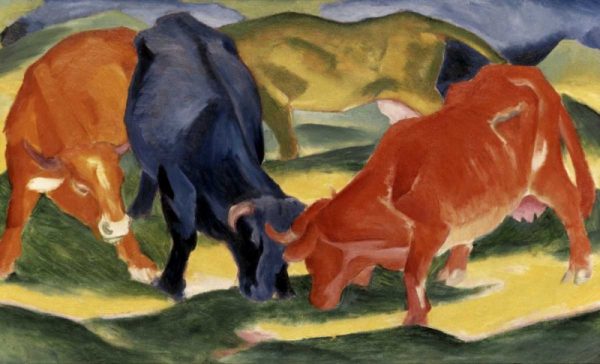 Fighting Cows