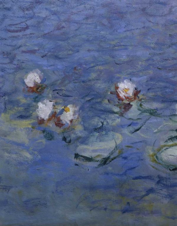 Water Lilies - Detail