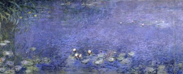 Water Lilies - Nymphaeas VI