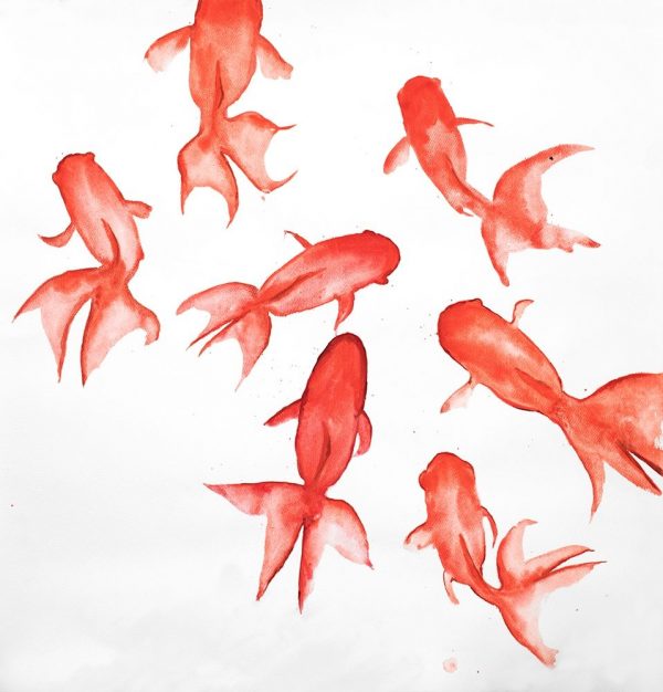 RED FISHES