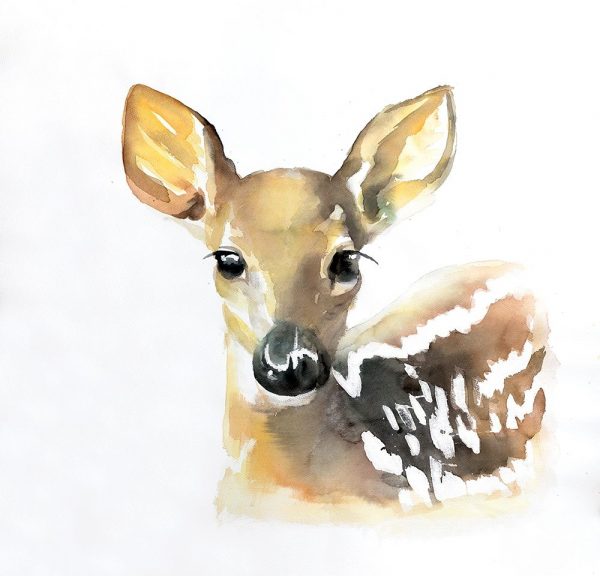 WATERCOLOR FAWN FACE