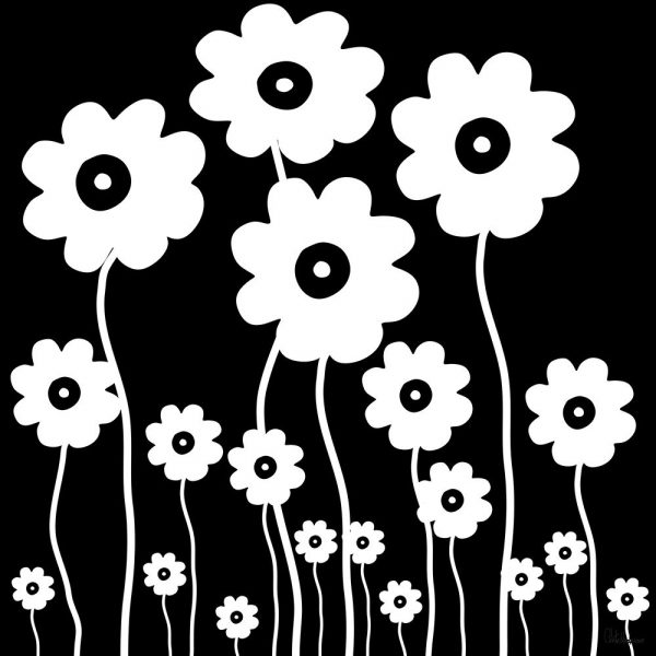 White Flowers on Black Background