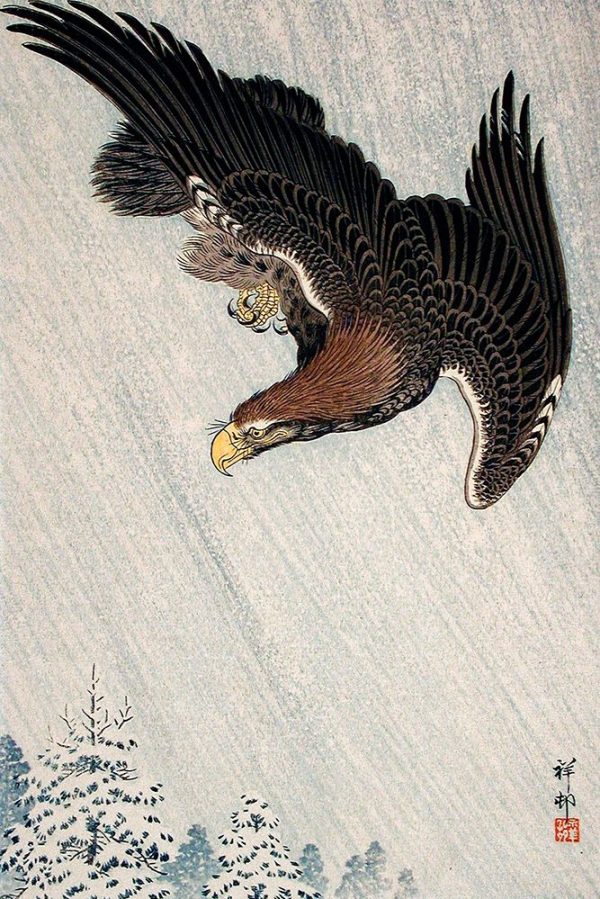 Eagle Flying in Snow